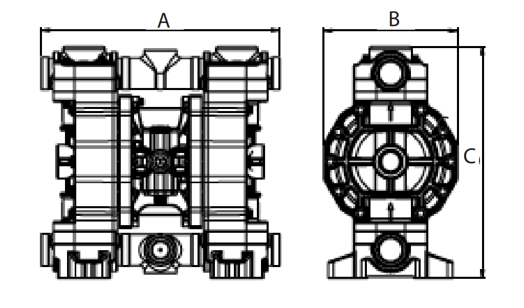 Dimensions Phoenix P252 Мембранна помпа Phoenix P252 🔴 Доставка по заявка