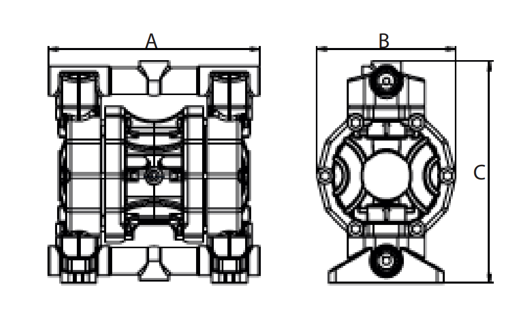 Dimensions Phoenix P55 Мембранна помпа Phoenix P55 🟢 В наличност