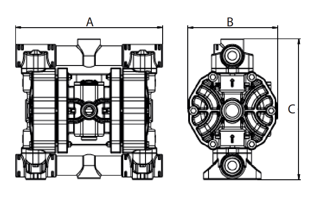 Dimensions Phoenix P90 Мембранна помпа Phoenix P90 🟢 В наличност